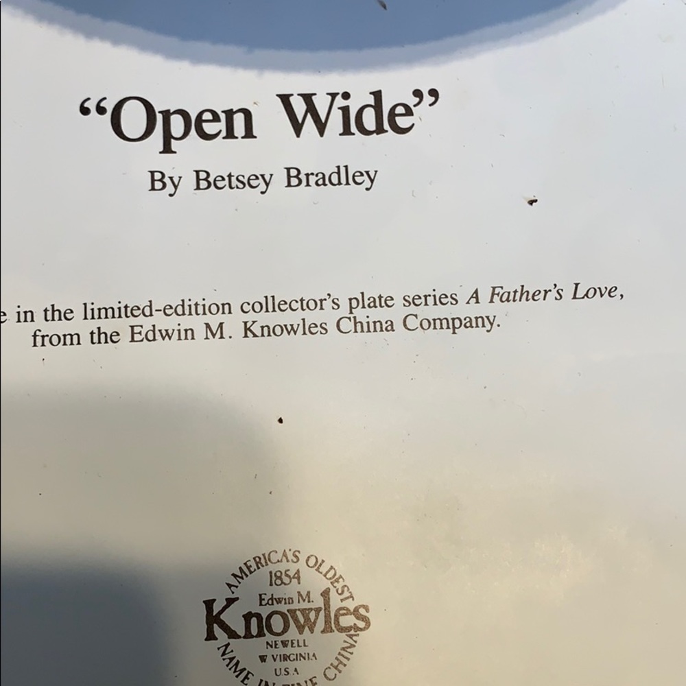 Knowles “Open Wide” Plate - Picture 4 of 6